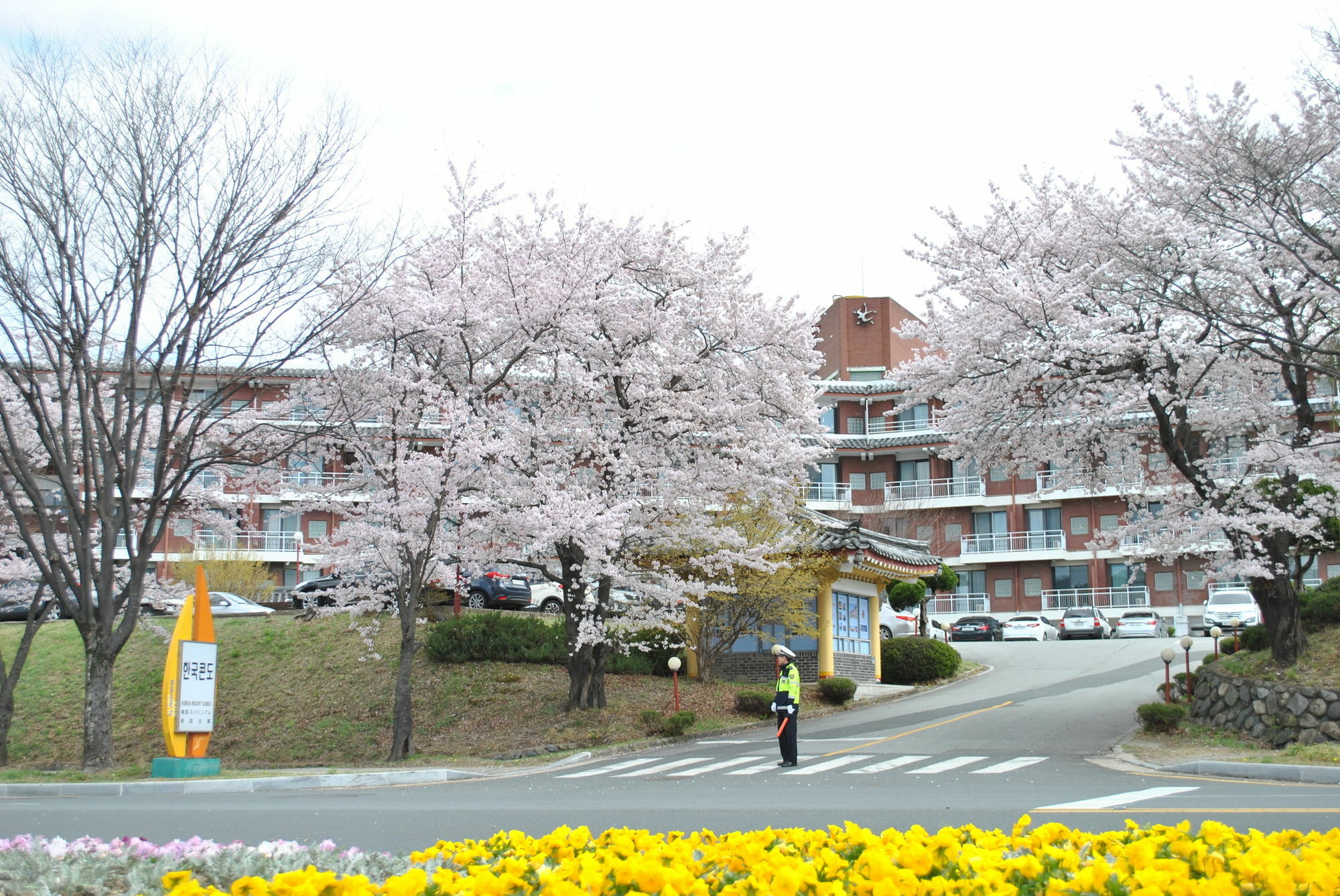 Corea Condo Кьонджу Екстер'єр фото